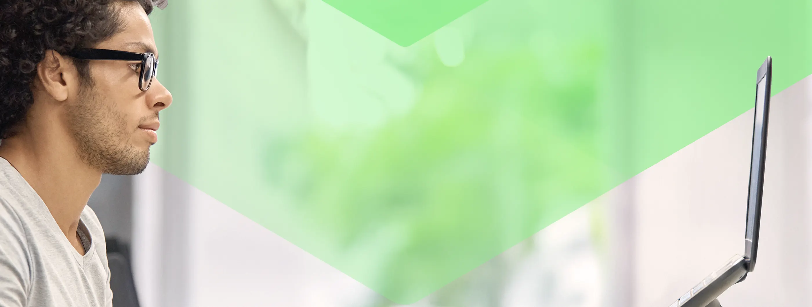 banner with a professional looking at a laptop screen