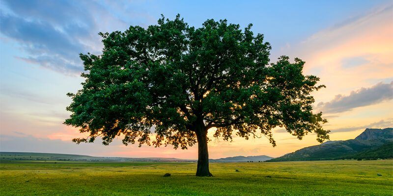 use snmp to monitor network devices